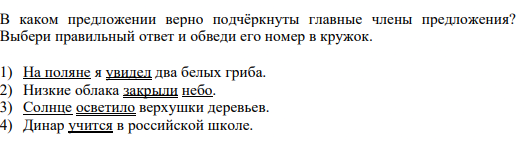 дети мигрантов, мигранты в россии, экзамен для мигрантов, тестирование детей мигрантов, русский язык для детей мигрантов,